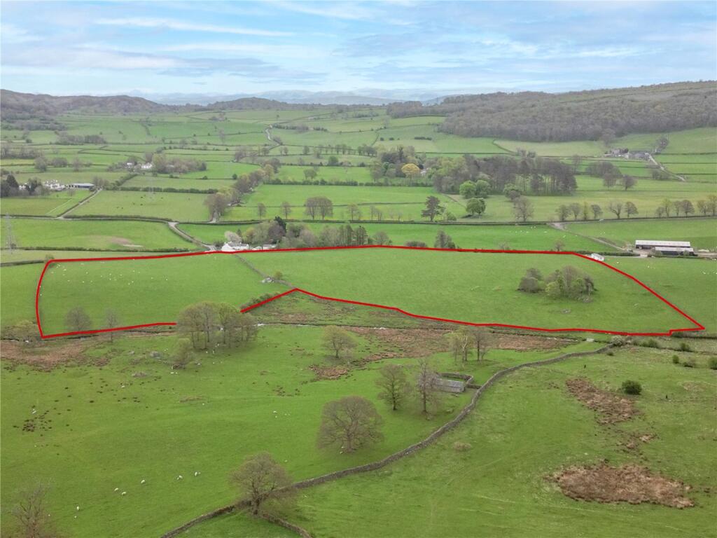 Lot 6