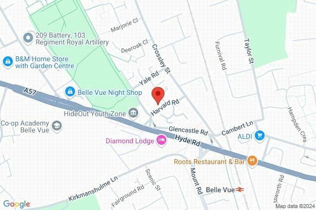 Google Maps Image