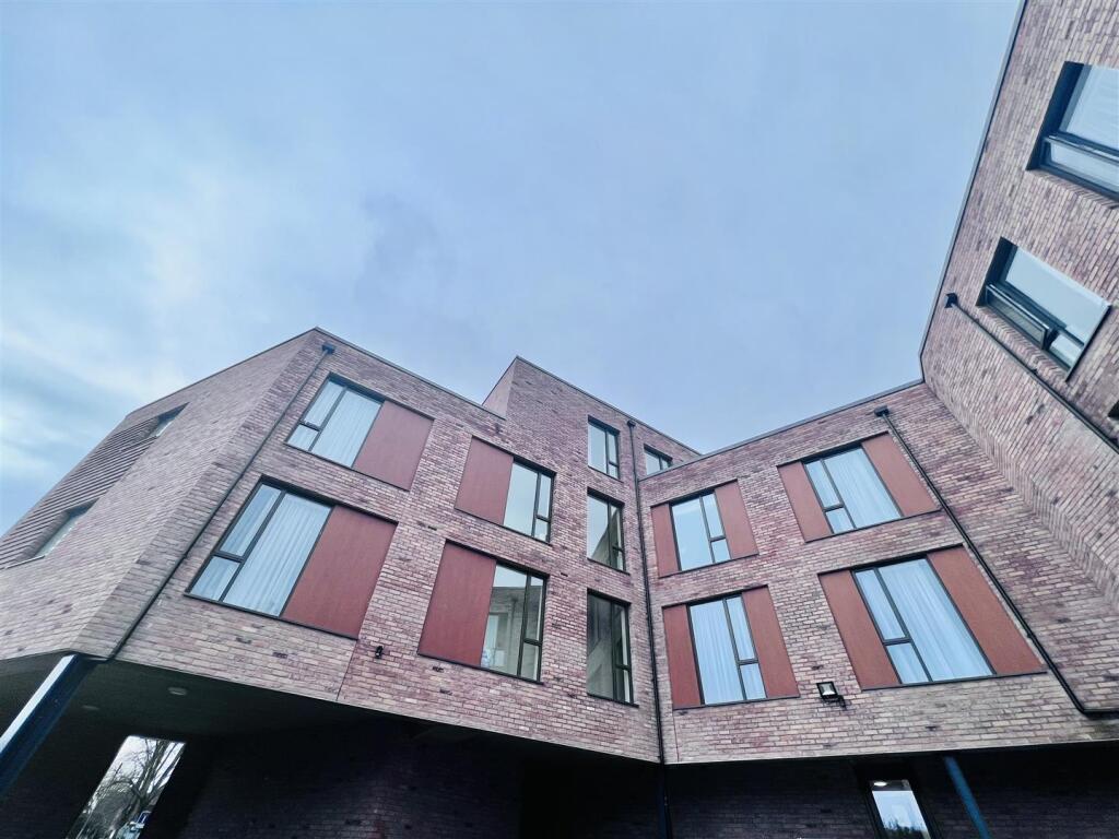 Rear External