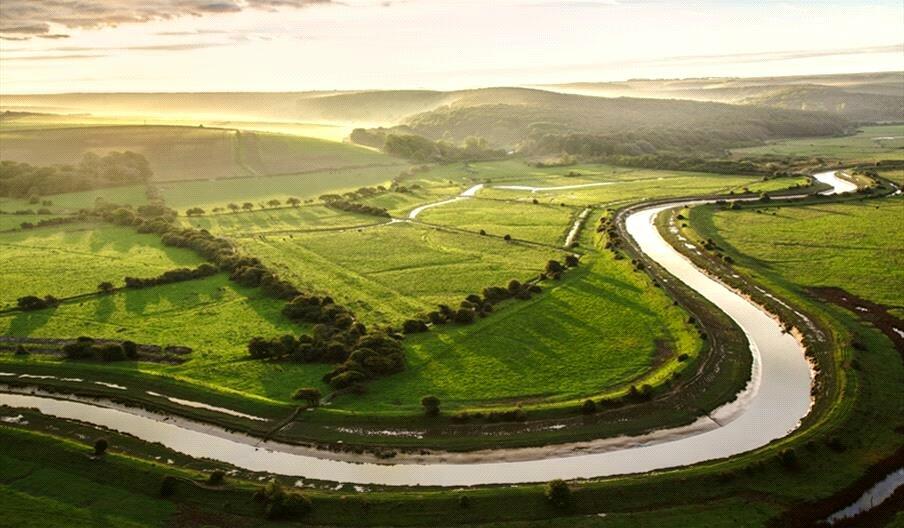 Southdowns