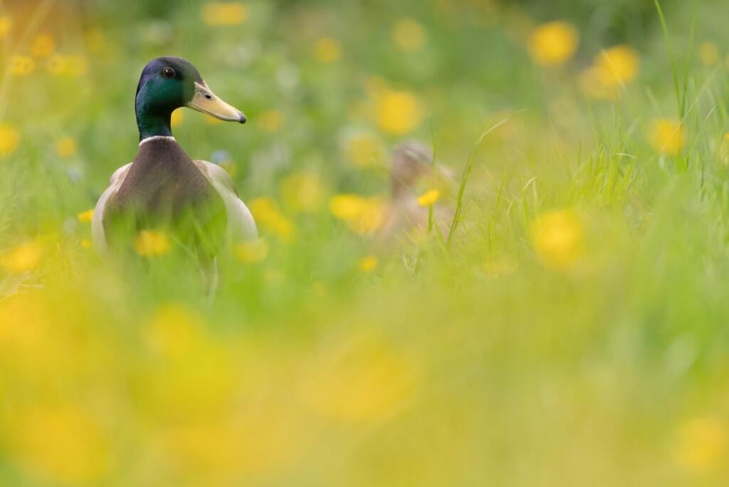 Katie blubells 2020.JPG