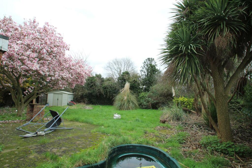 garden 1.JPG