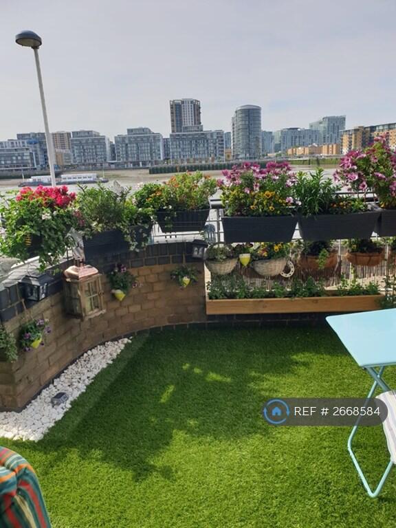 Outside Garden (May 2019) Plants Belong To Tenants