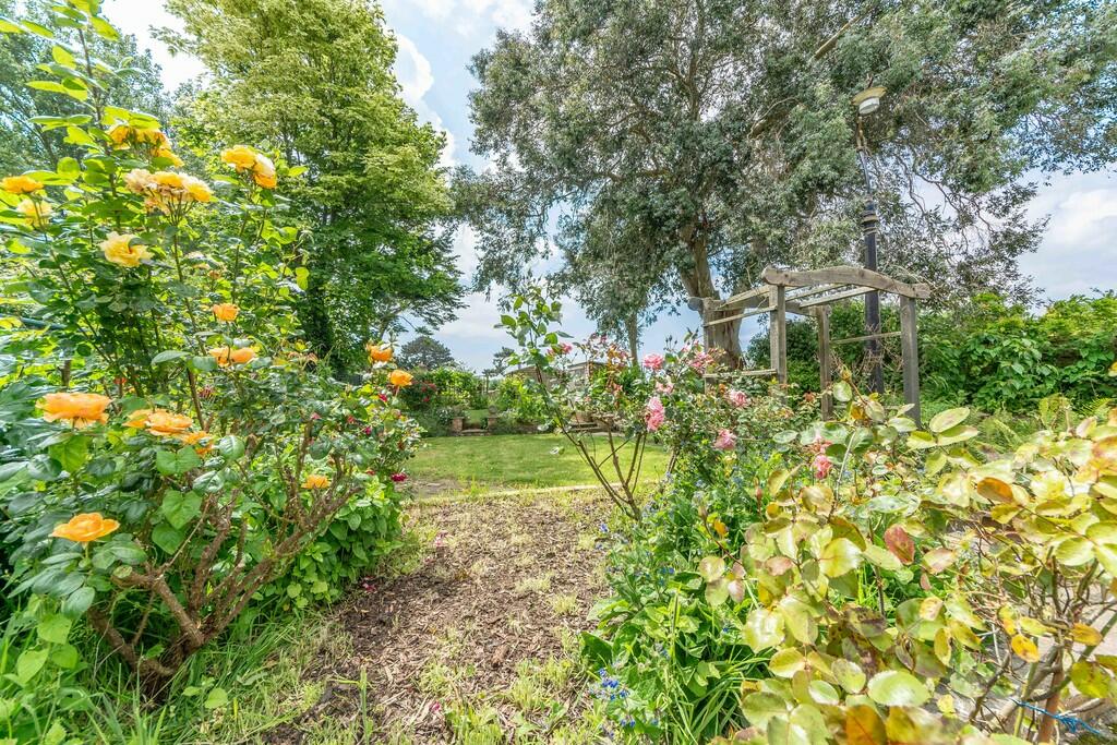 Garden     