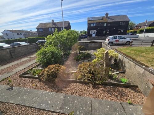 Garden/Driveway