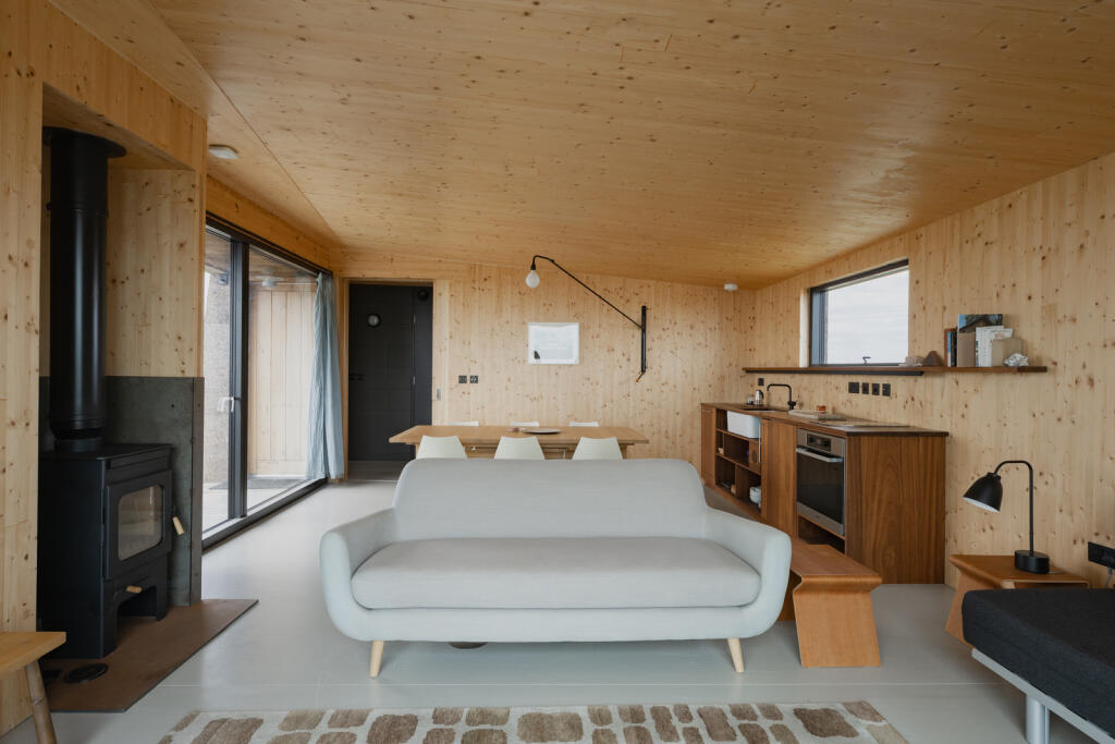 295233 - Redshanks, Lea on Sands-22.jpg