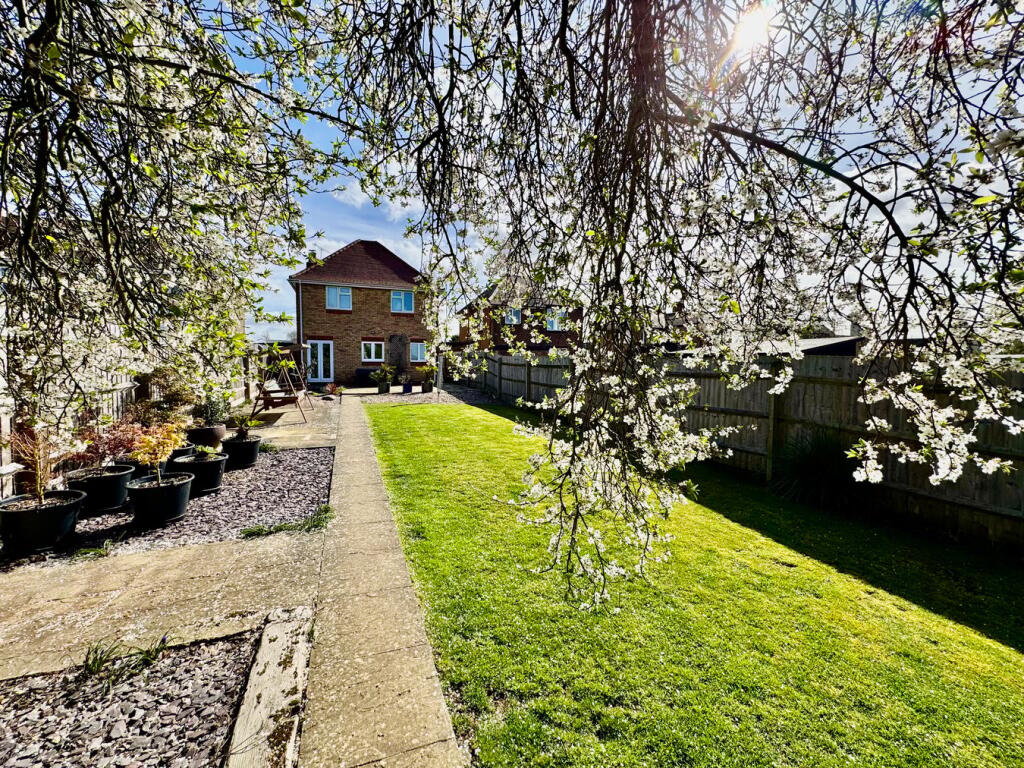 Lawn &amp; Rear of Property 