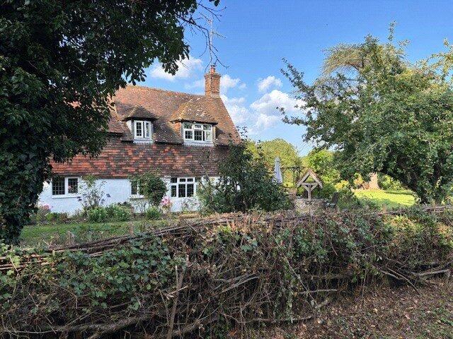 Green Bough