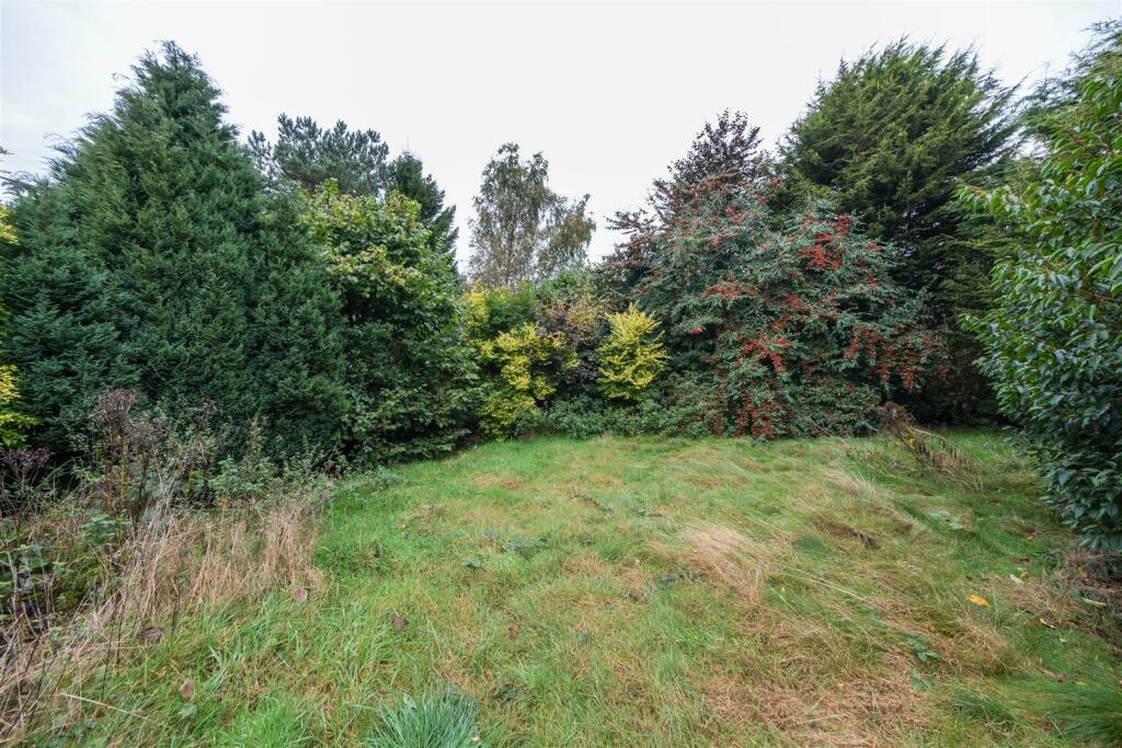 Springfield Farm-031.jpg