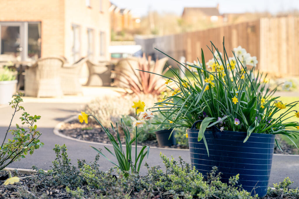 Elizabeth Place Gardens  