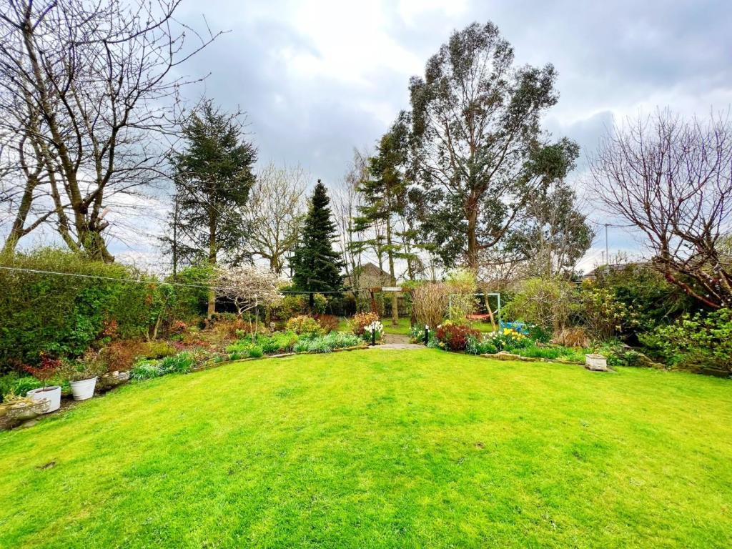 Garden 2.jpg