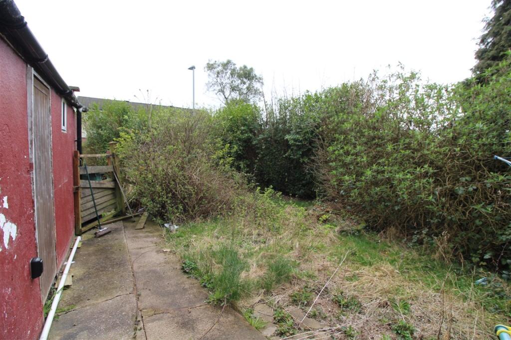 IMG 4849  Medium  T202503280926.jpg