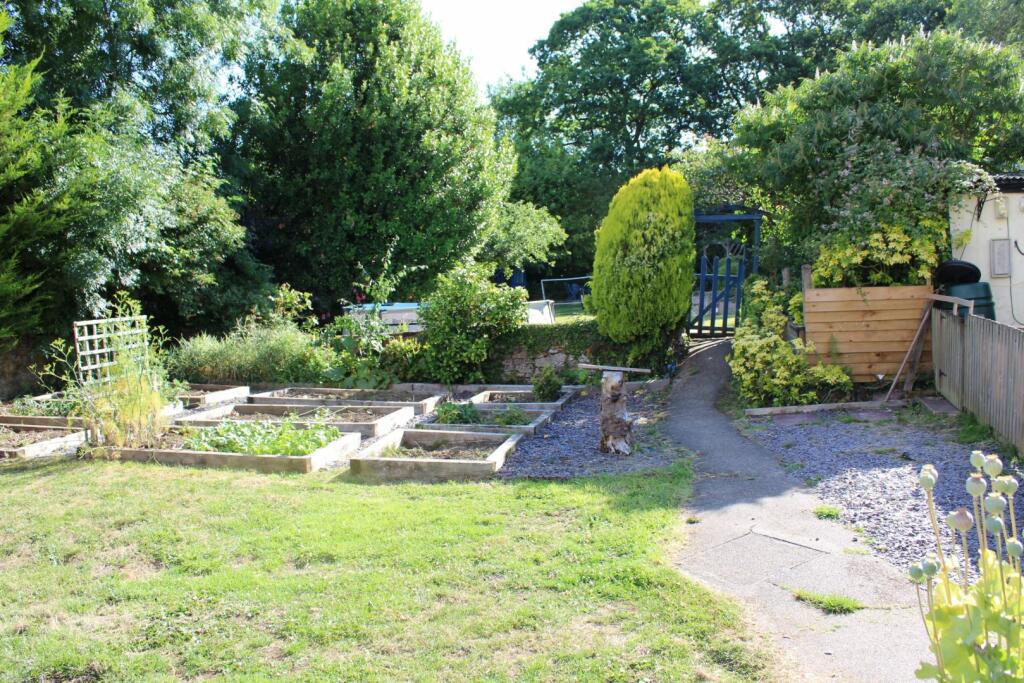 Vegetable Garden