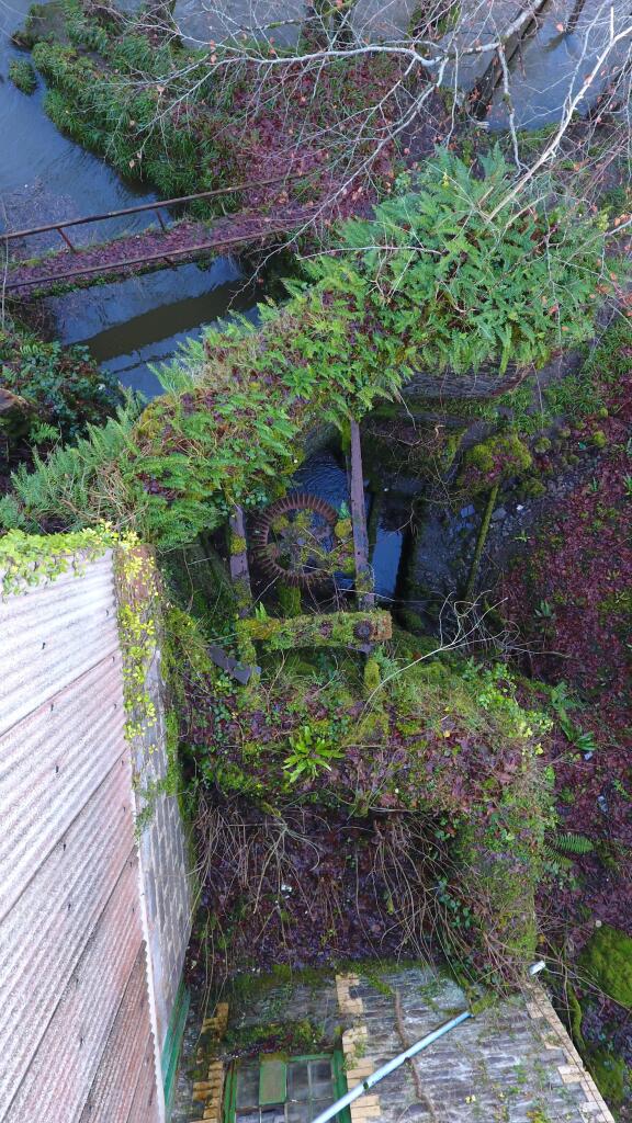 DJI 0188 T202510031117.jpg