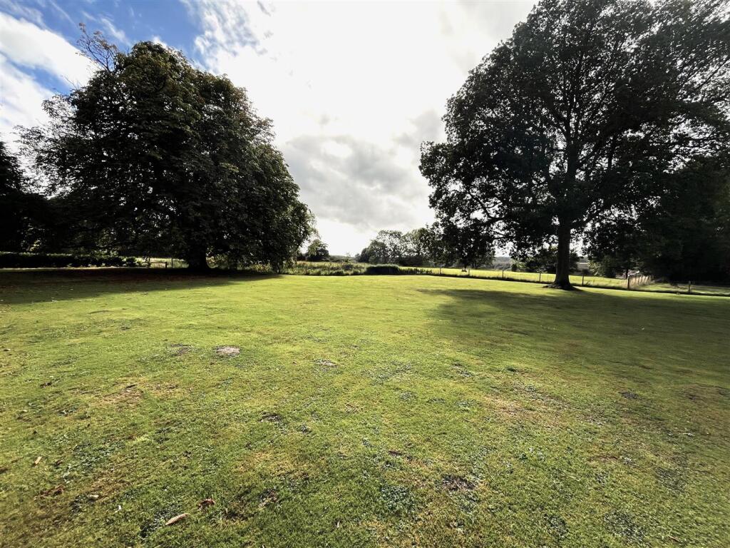 Back garden.JPG