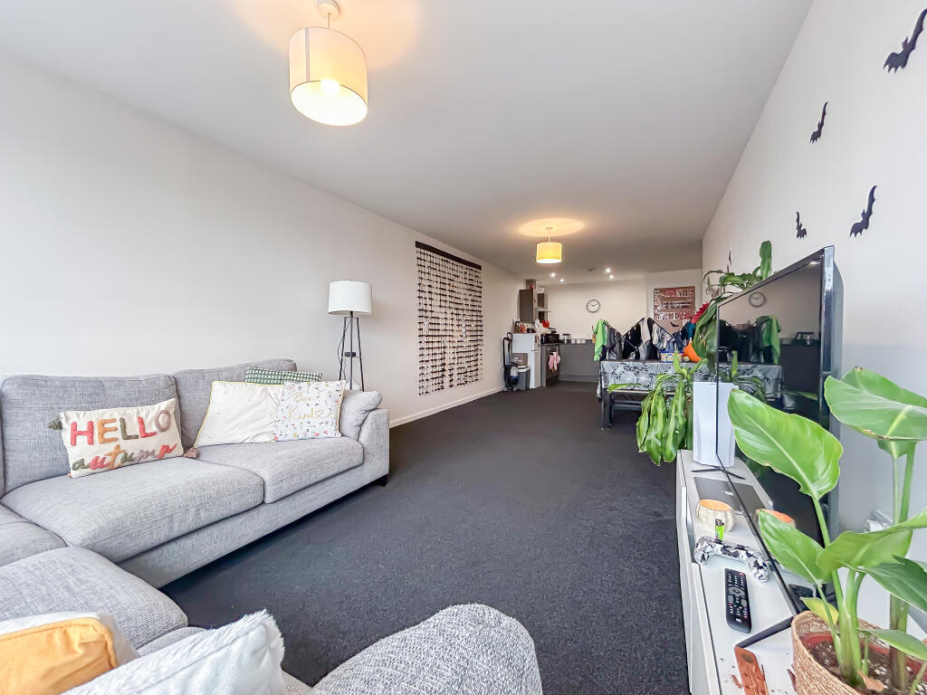 IMG 7128 T202510210947.jpg