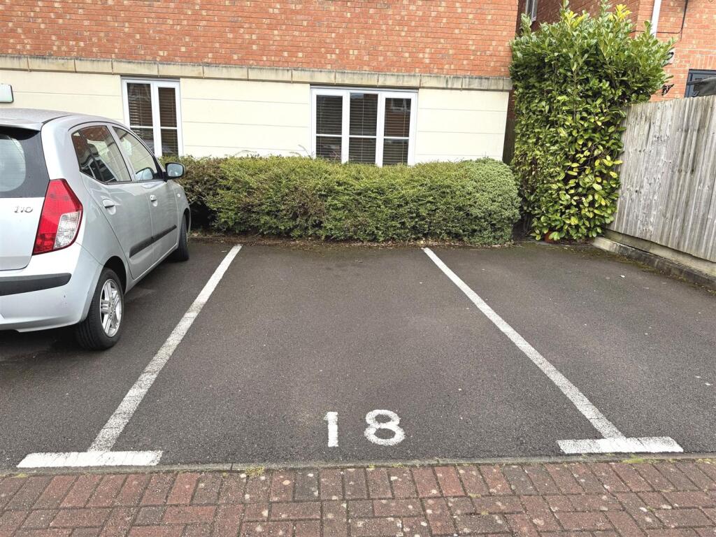 18ward12.jpg