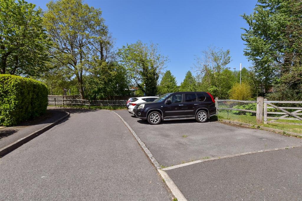 Driveway/Parking
