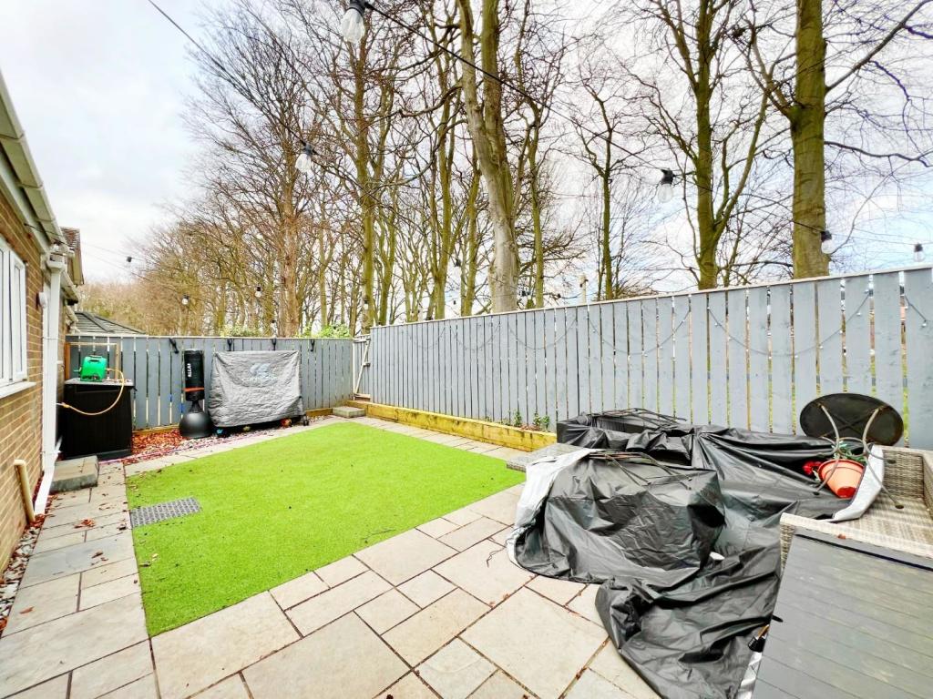 Garden pic 1.jpg