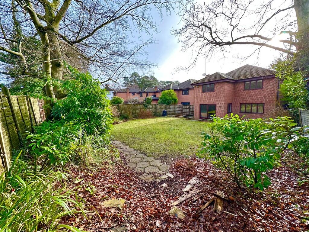 IMG-20250129-WA00...