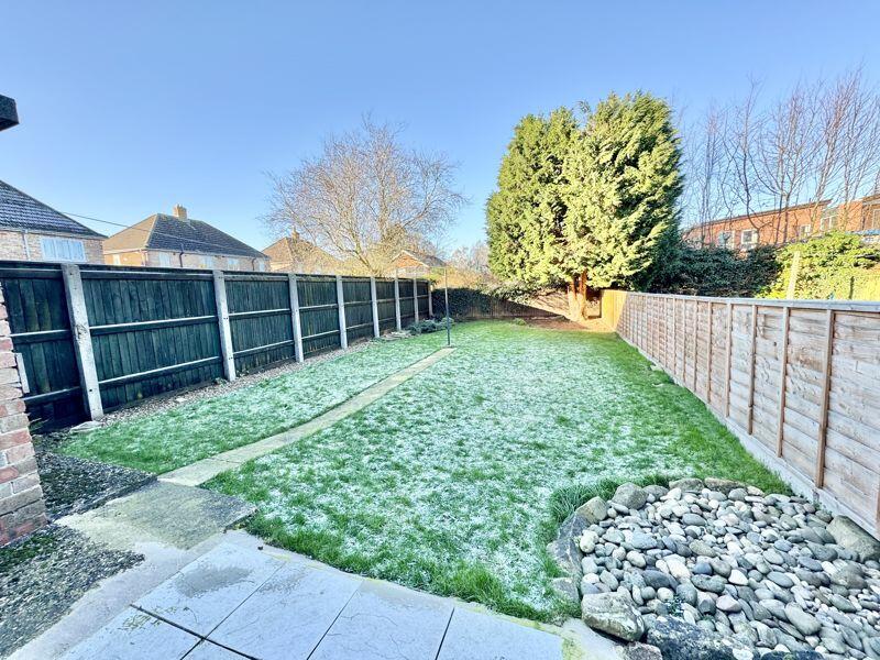 Back garden 2