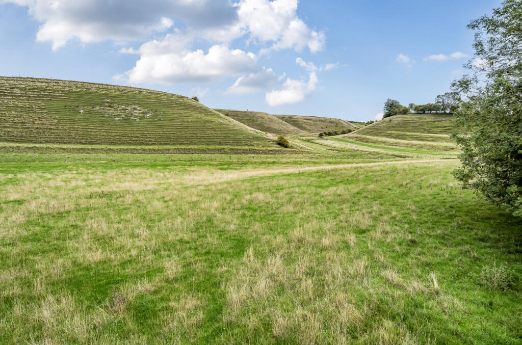 1353638568cbe945407ec