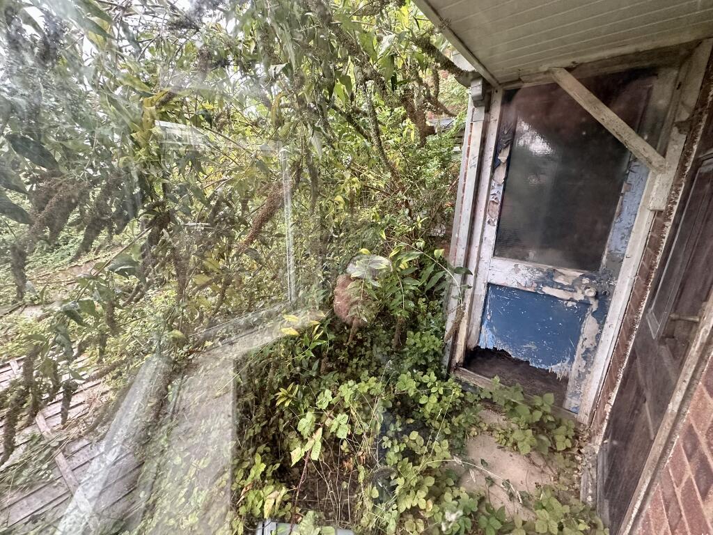 IMG 3471 T202509041346.jpeg