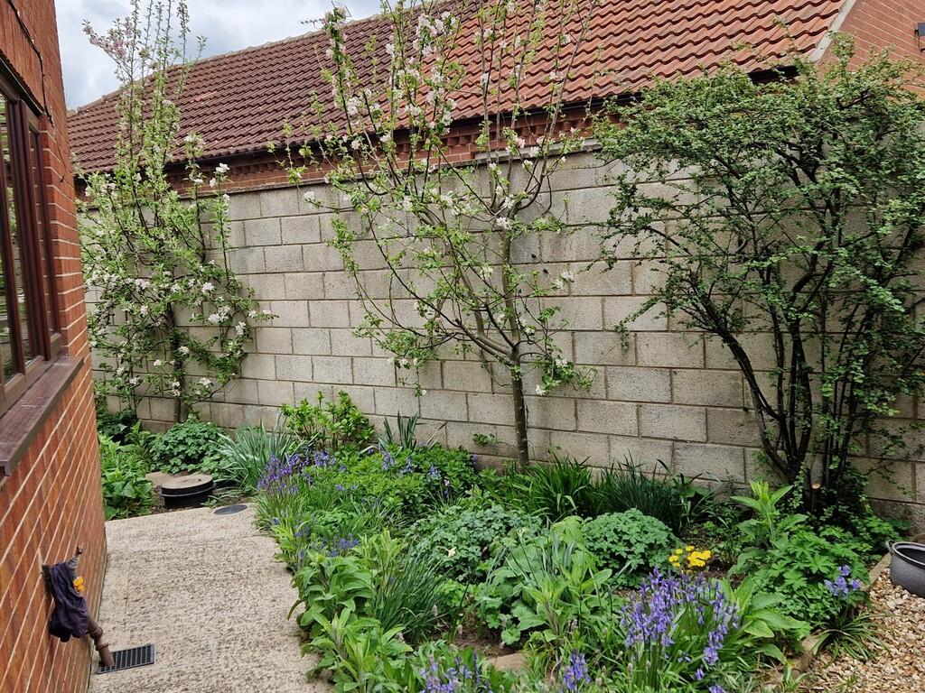 20250424_131714_r...