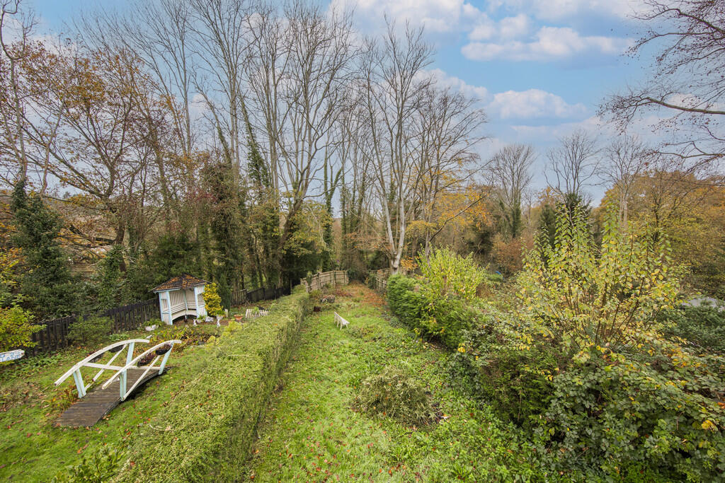 Garden 4