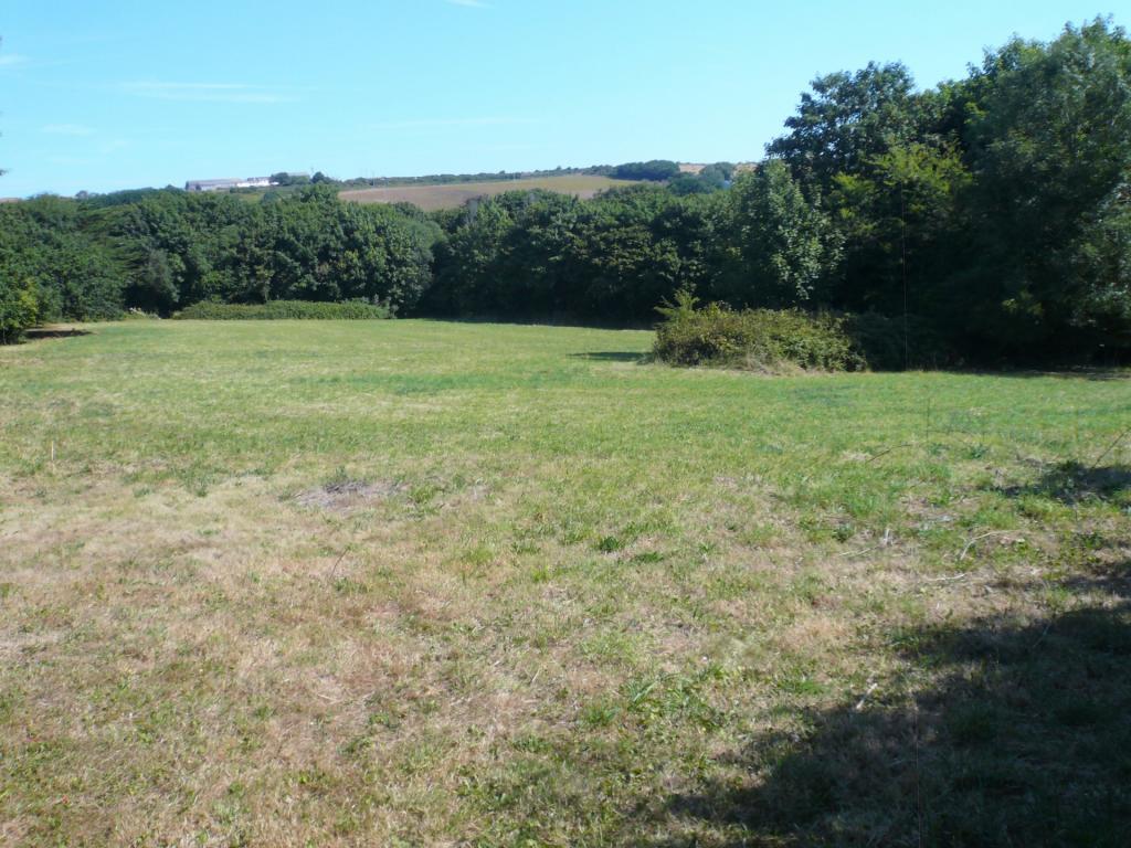 Pastureland