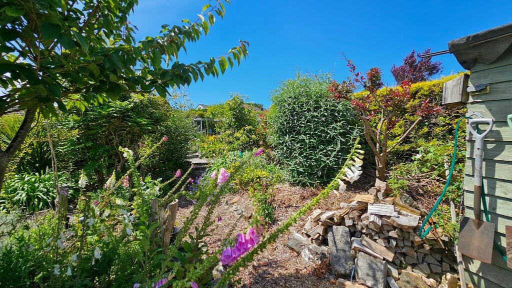 rear garden1.jpg