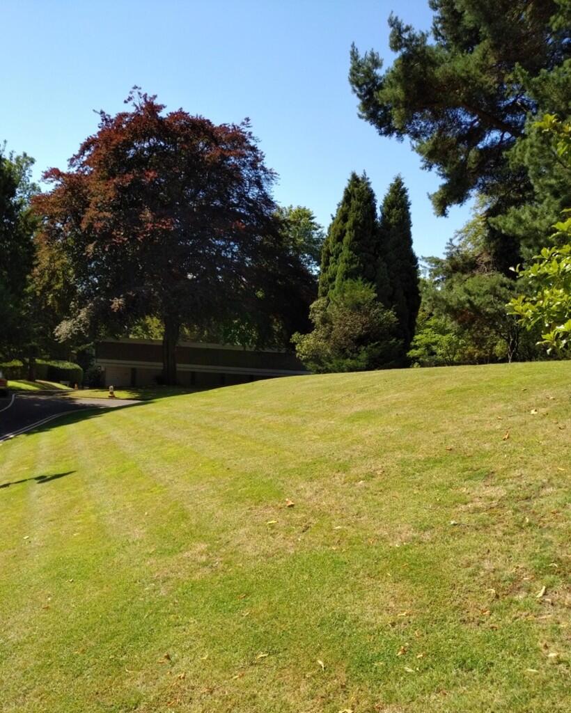 Grounds