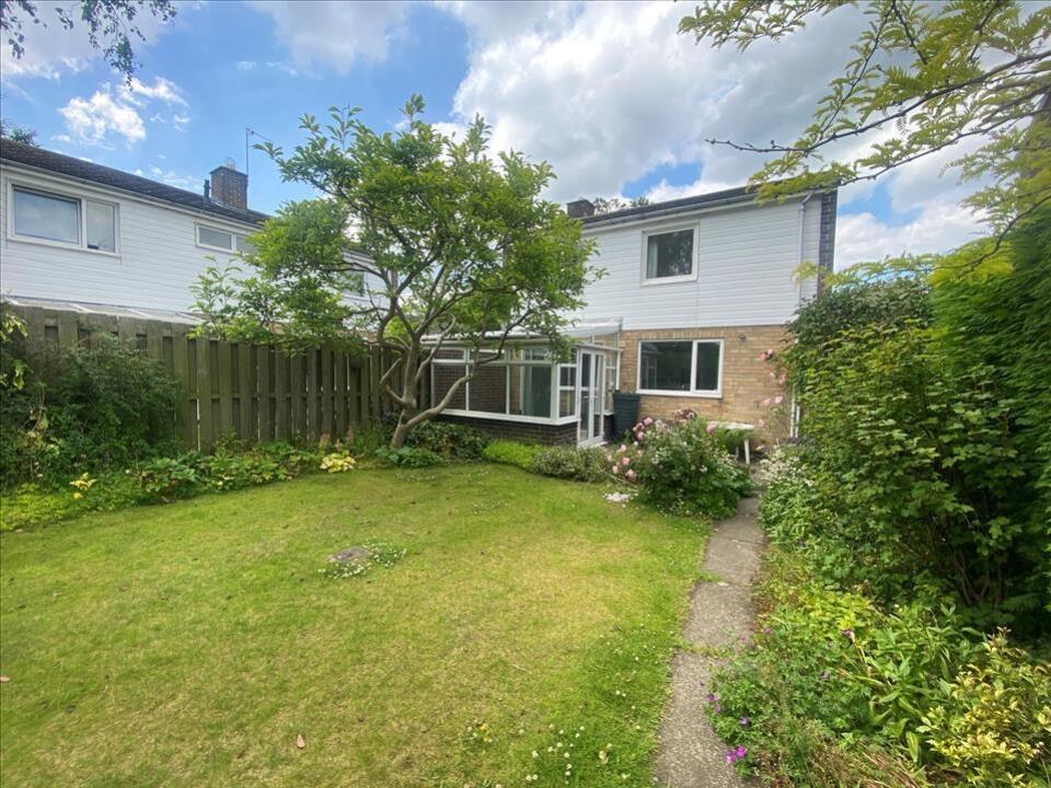 46103_D_46103_41380_IMG_14_0000