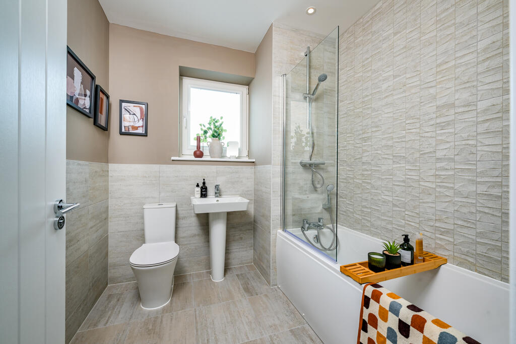 B-VISE-WALPK-Plot4Feb24-014