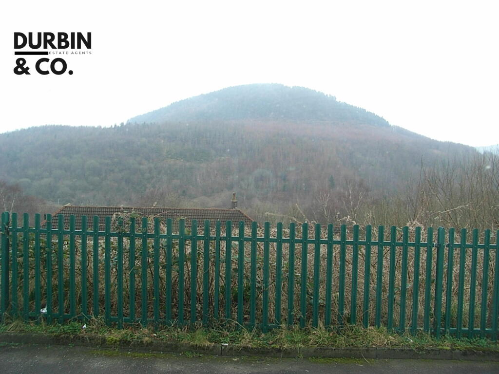 RIMG0006 - Copy (3).JPG