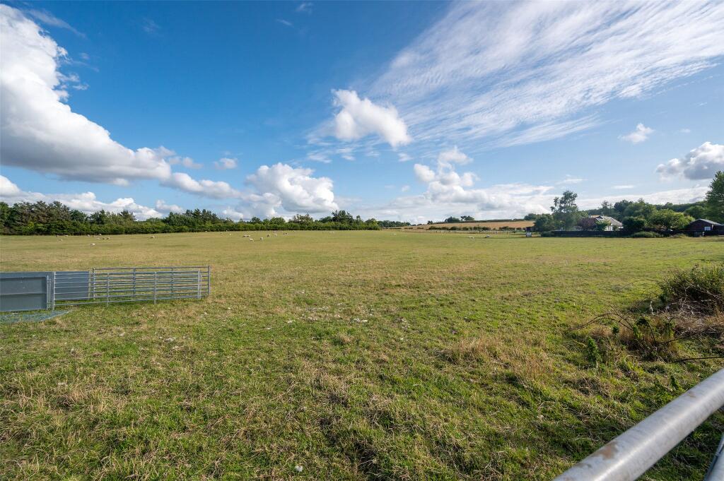 Grass Paddock