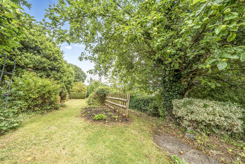 1329512-4-687fca1d37aad-ARW .jpg