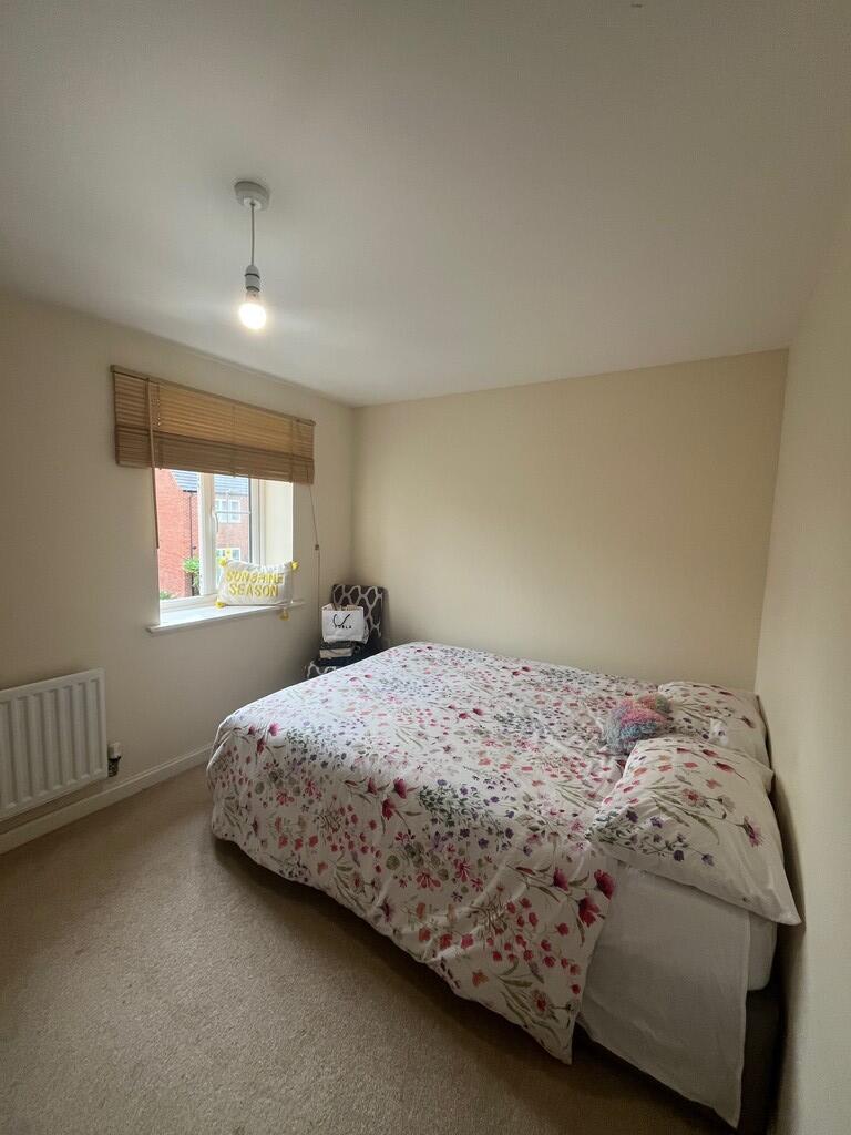 image5 (3)