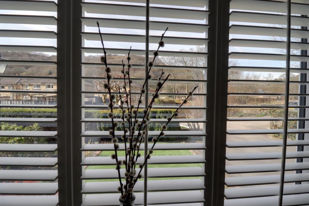 View from lounge