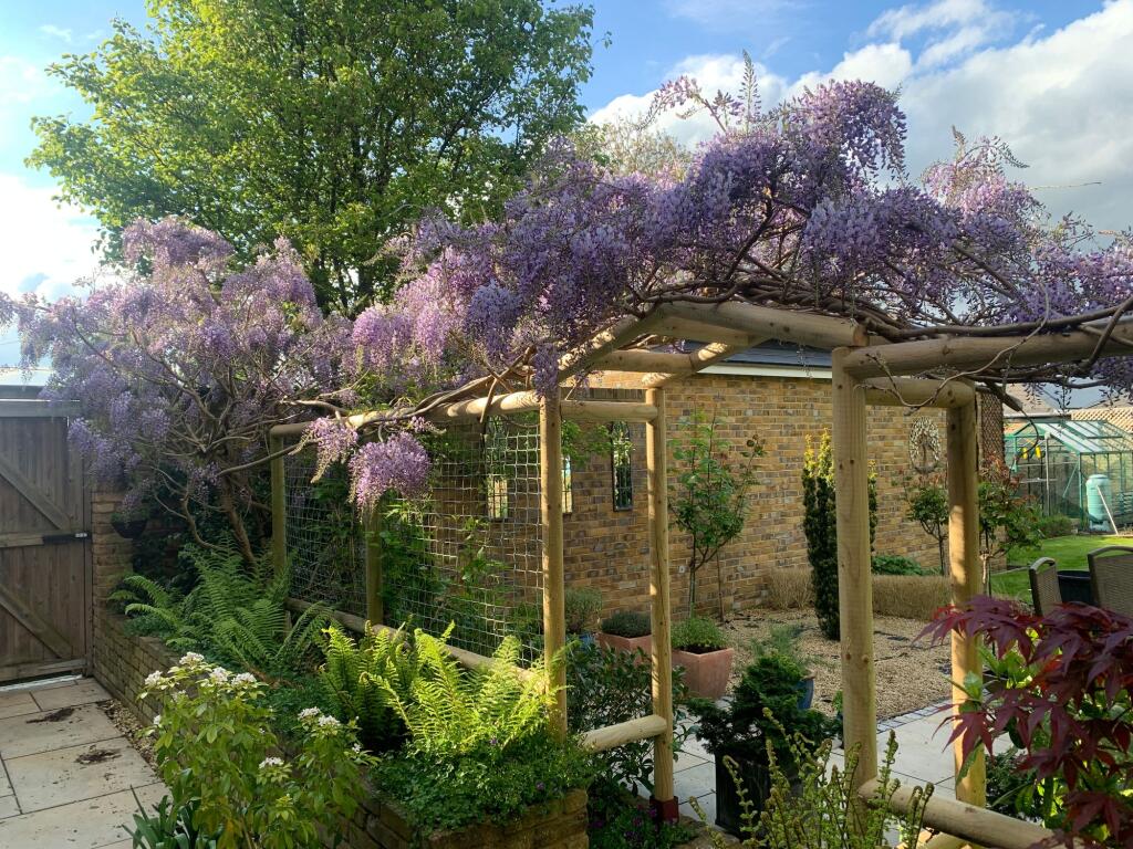 Garden (12)