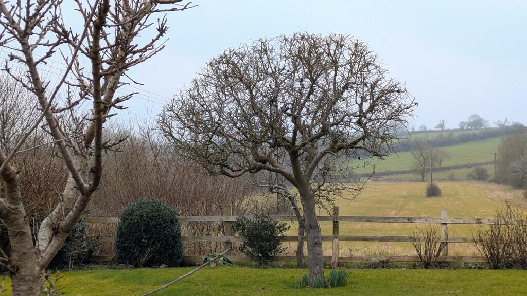 PXL_20250211_1206...