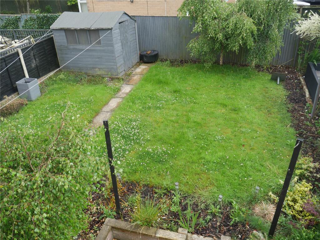 Picture 14