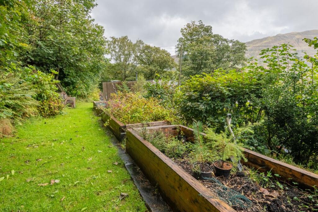 Garden with Raised Beds