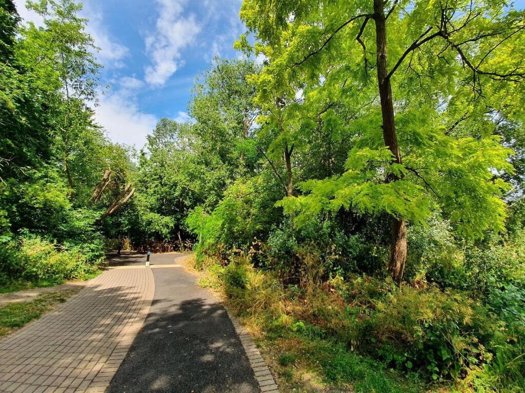 russia dock woodland