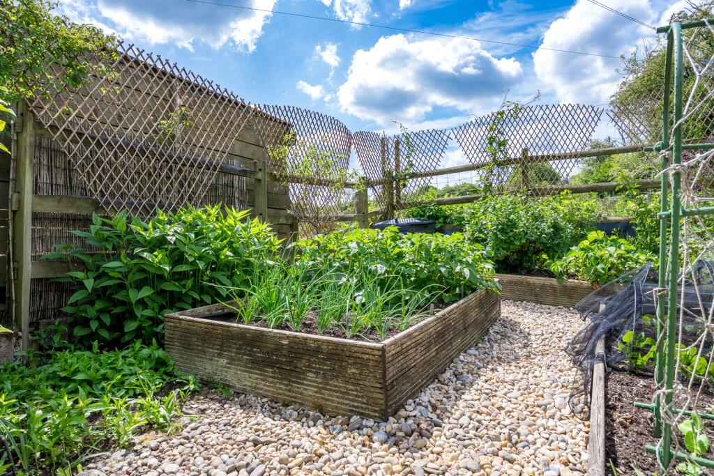 Vegetable Patch
