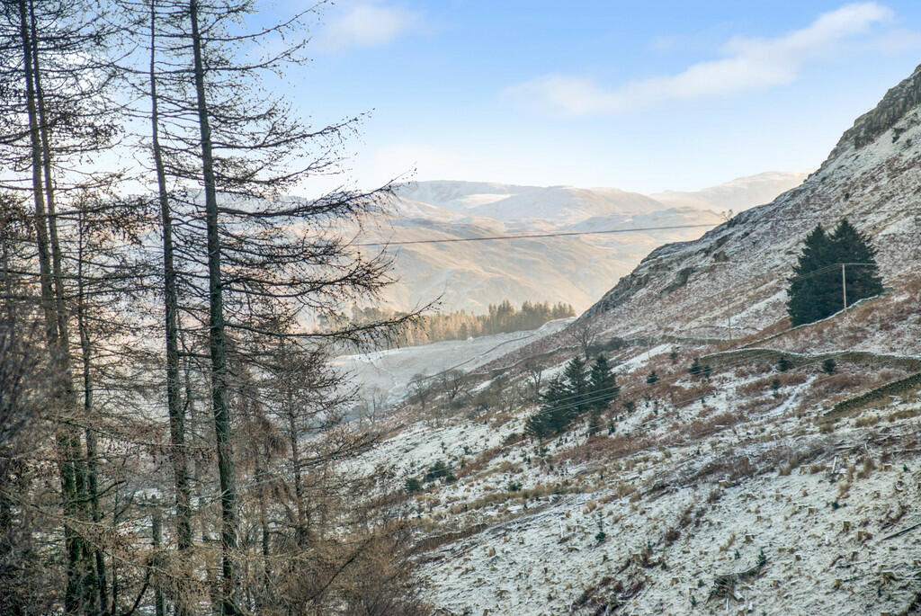 Fell View