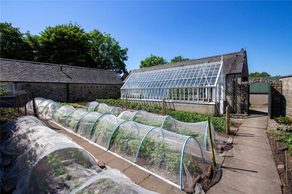Kitchen Garden
