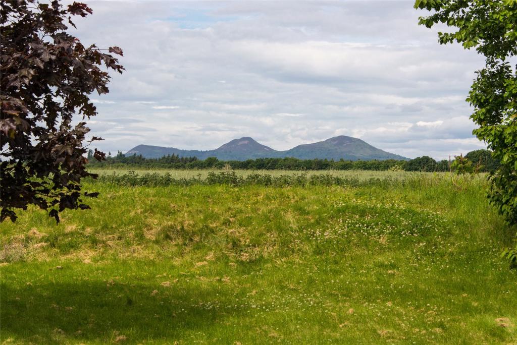Garden To Eildons