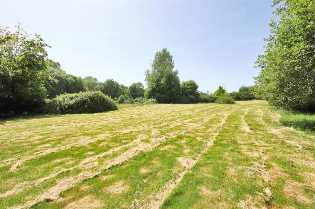 Field