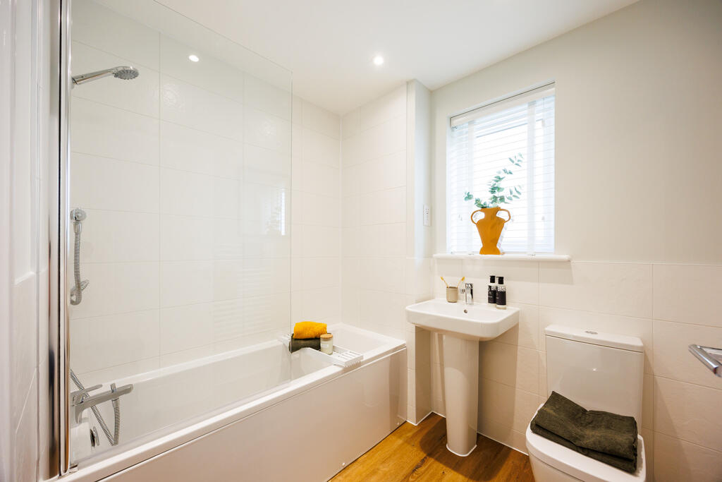 VDSW BH PASTURES ROWAN (8)